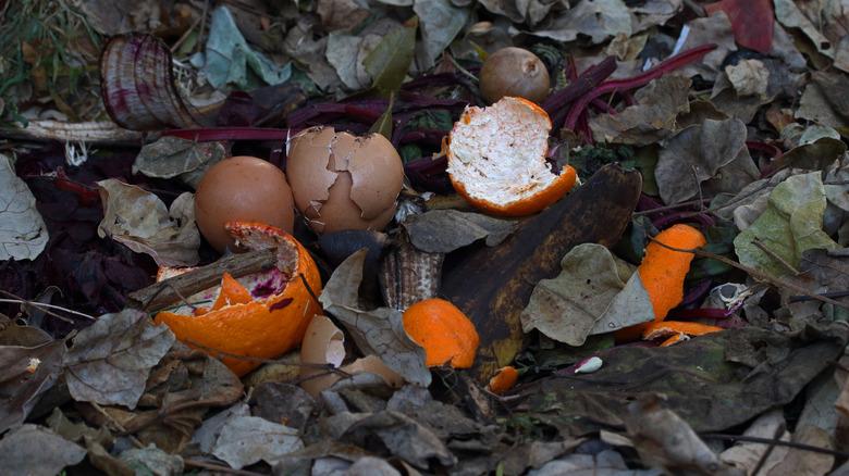 Orange peels, egg shells, and banana peels composting in the open.