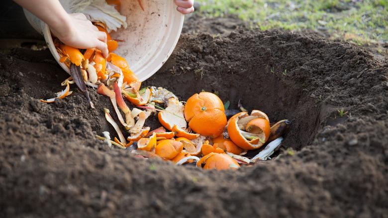Hands emptying a bucket of orange peels and other waste in soil.