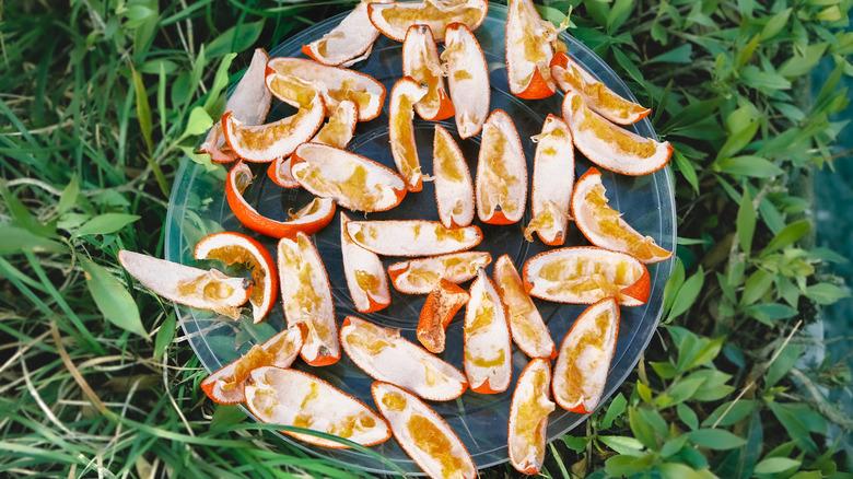 A plate of sun-dried orange peels sitting in grass.