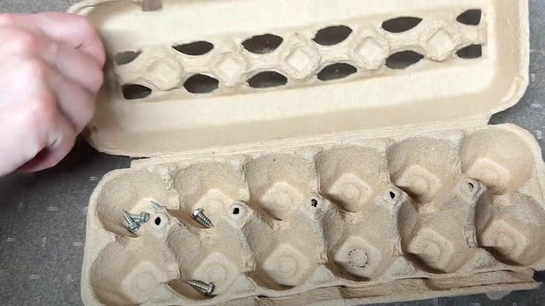 Small screws sitting in the egg forms of an egg carton.