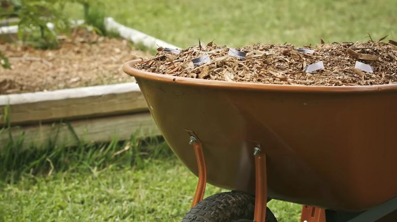 Strips of aluminum foil in garden mulch