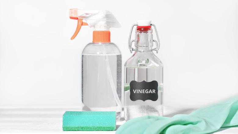 Bottles of white vinegar with a sponge and gloves sitting on a white surface.