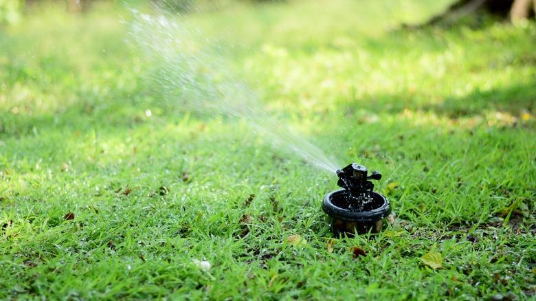 Sprinkler watering lawn