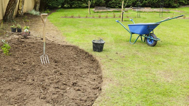 Bare soil in garden bed in yard