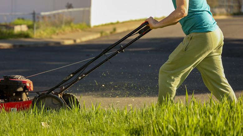 Person pushing a lawn mower