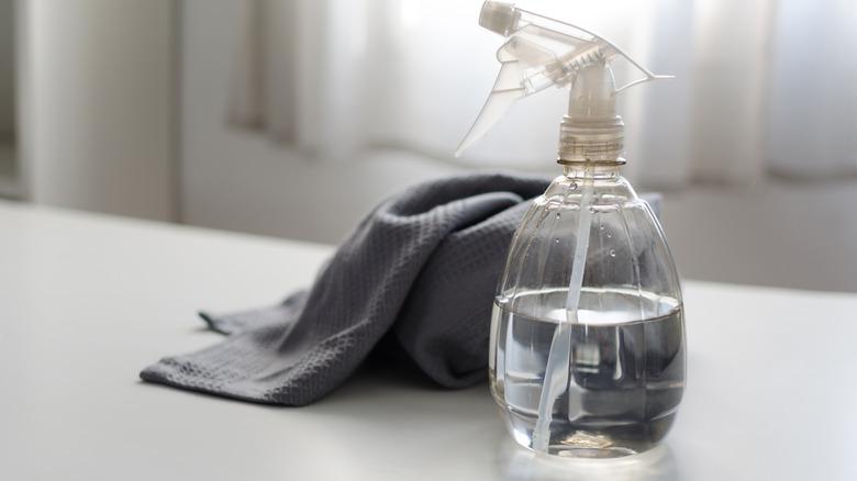 Spray bottle of white vinegar