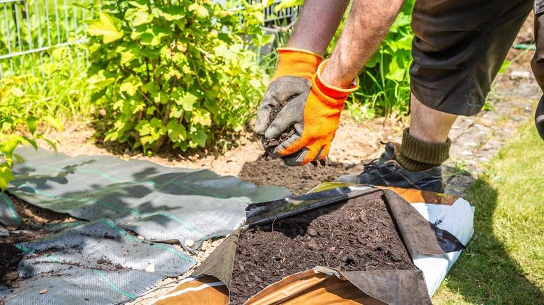 Person installing landscape fabric