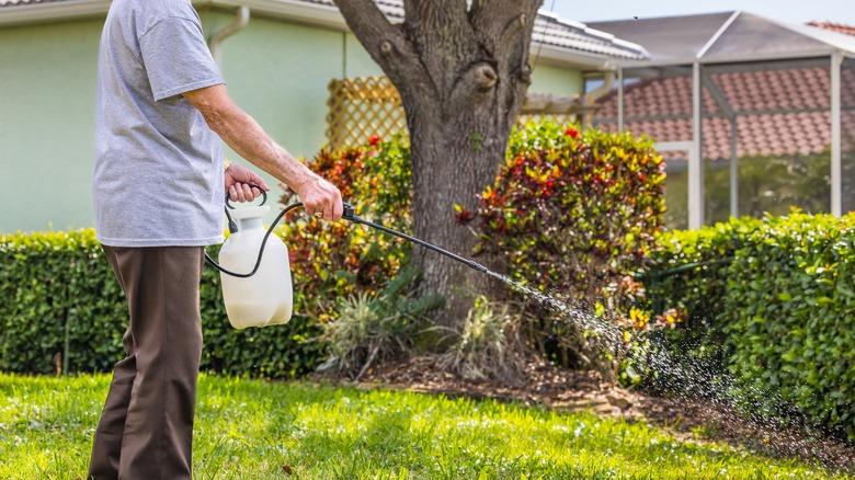 Person spraying weed killer without gloves