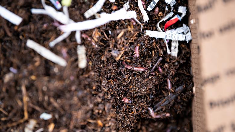 compost with strips of paper