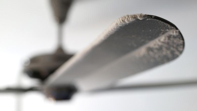 dust on blade of ceiling fan
