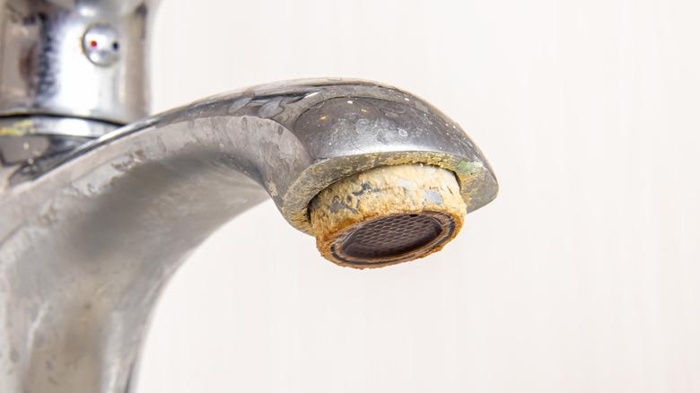 Hard water covered sink faucet