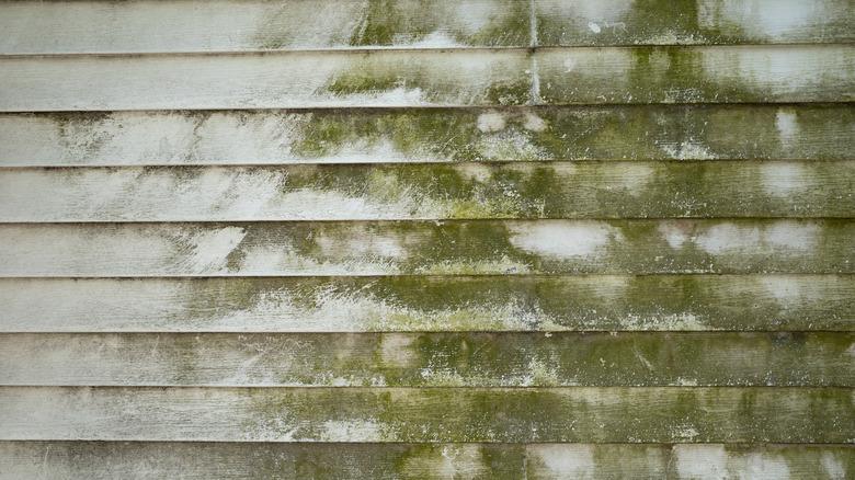 dirty vinyl siding on house