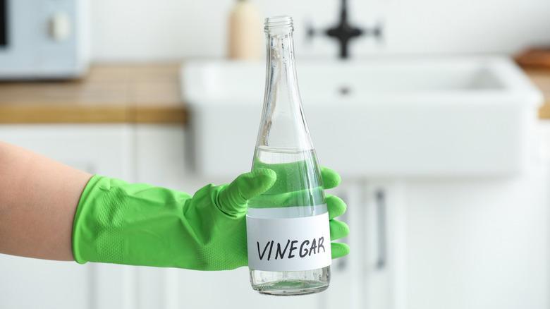 Gloved hand holding bottle of cleaning vinegar