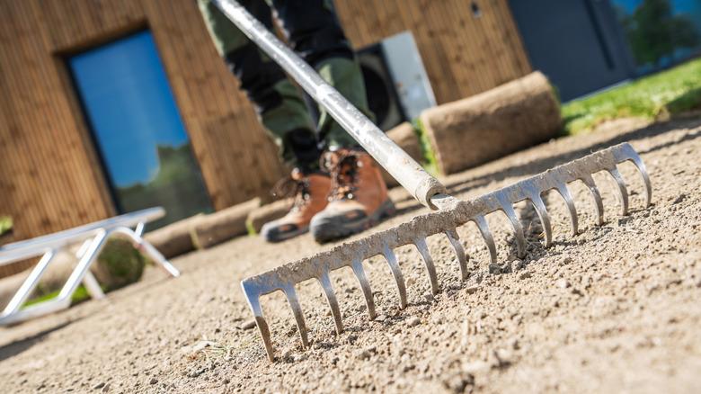 Lightly working lawn soil with a bow rake