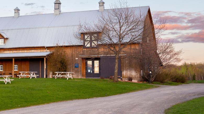 A lovely gravel driveway