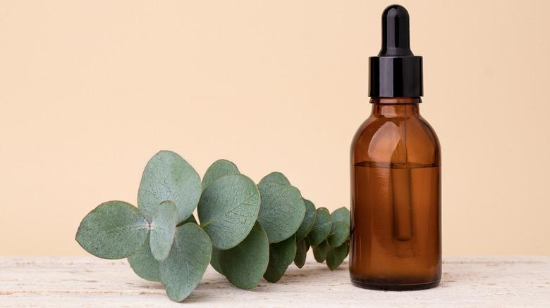 eucalyptus leaves next to dropper bottle of eucalyptus essential oil