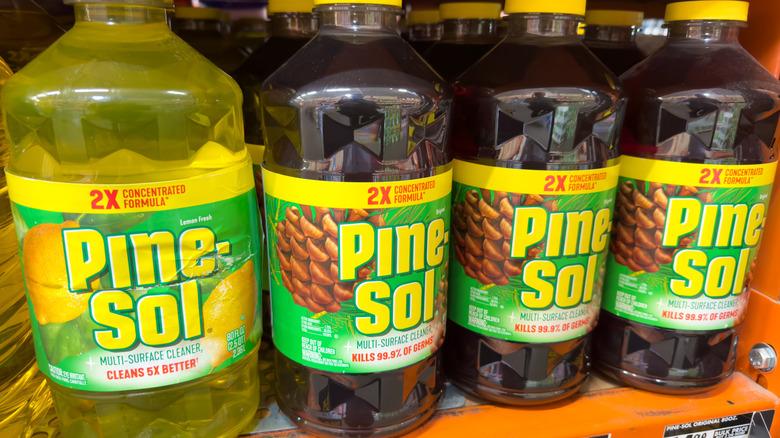 Pine-Sol bottles lining a shelf in a store