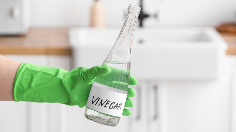 A gloved hand holding a bottle of white vinegar.