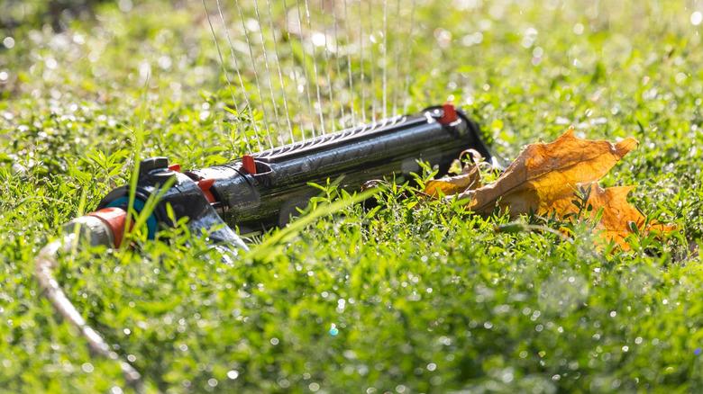 sprinkler watering a lawn