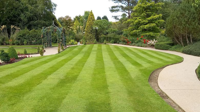 lawn mown in straight pattern