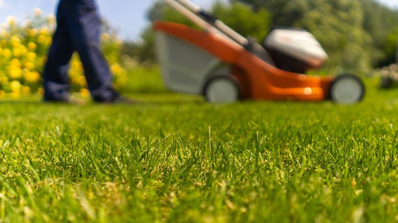 person mowing lawn in sun