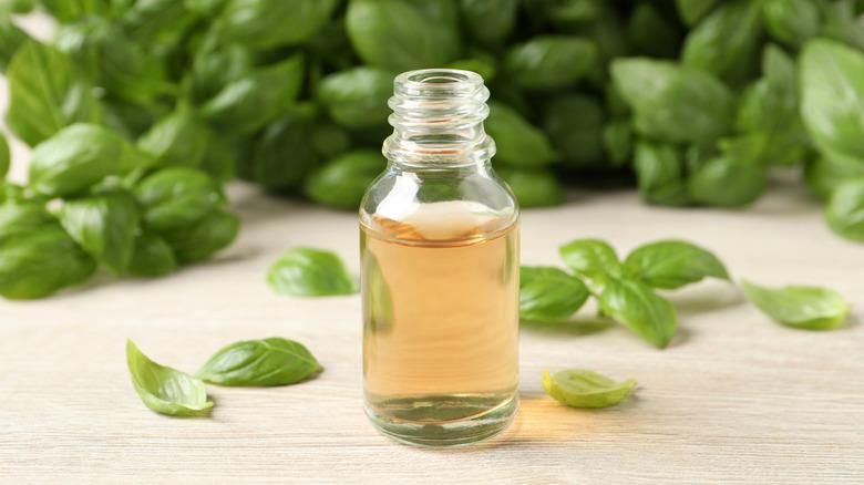 Glass bottle of basil essential oil and leaves on white wooden table