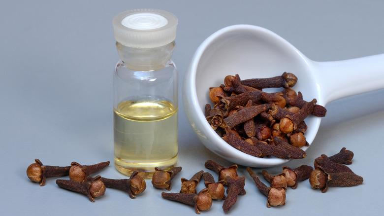 cloves and a bottle of clove oil