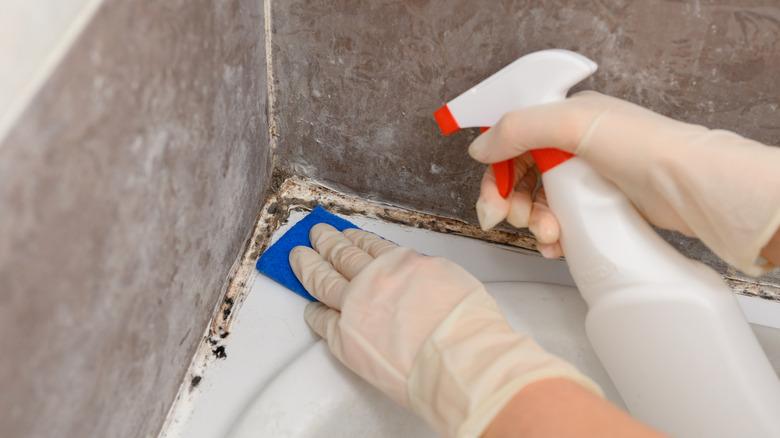 Hand spraying mold in corner of shower with spray bottle