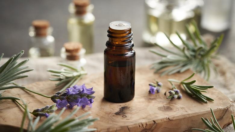 A brown bottle of essential oil with lavender flowers and leaves