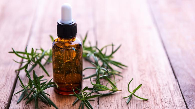 Rosemary oil bottle on white background with rosemary sprigs around it