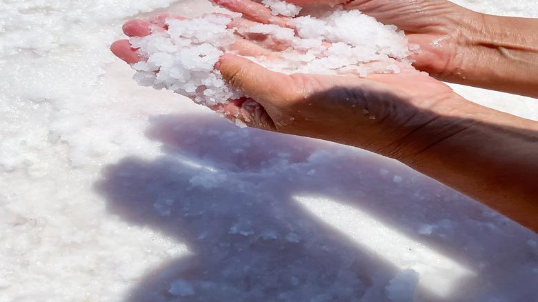 Woman's hands holding rock salt