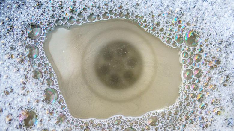 looking through clogged sink water