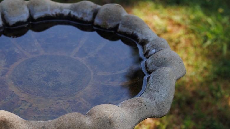concrete birdbath with dirt stains