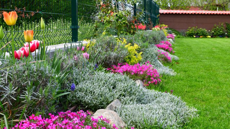 A colorful garden with several different types of plants and flowers