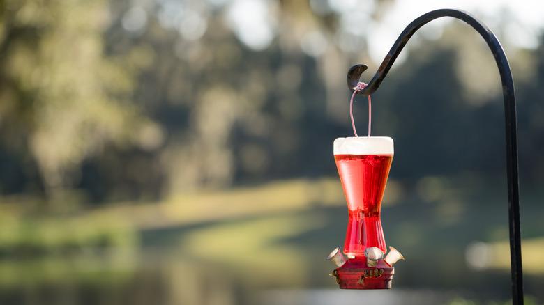 Hummingbird feeder on a shepherds hook