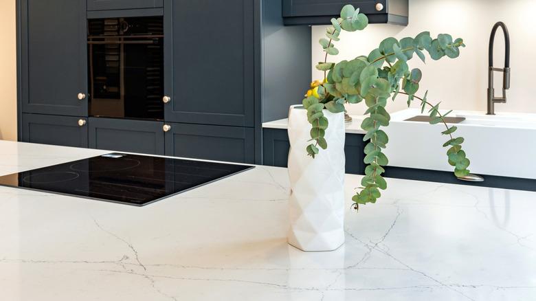 White vase of evergreens on a white countertop
