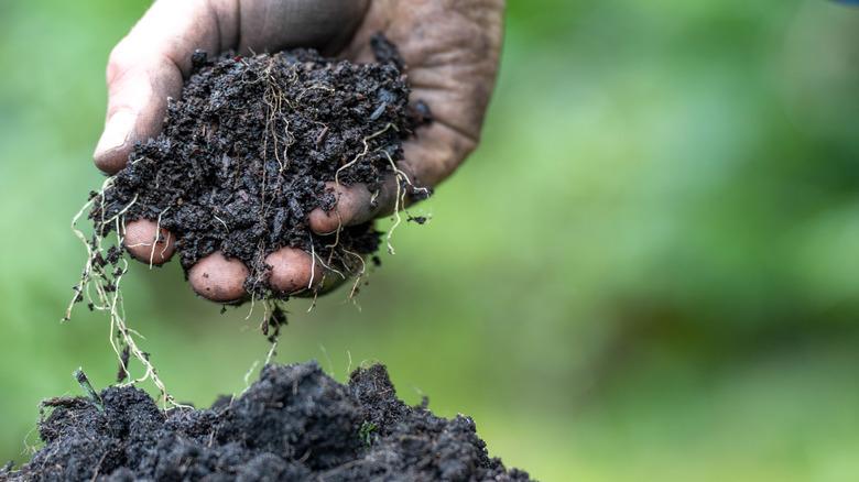 A hand sifting very loose soil