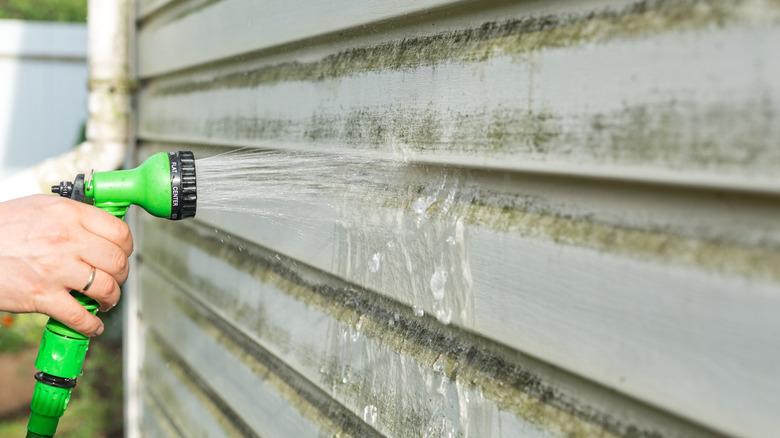 Spraying water on algae-covered exterior siding