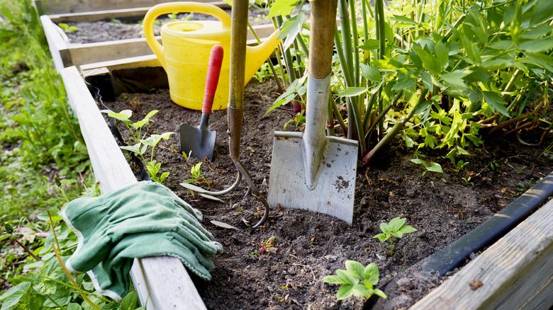 garden tools and gloves sitting in a garden box