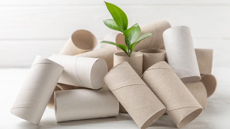 pile of toilet paper tubes