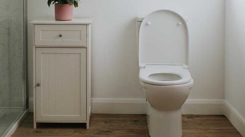 toilet in bathroom with a small cupboard on the side holding a pant