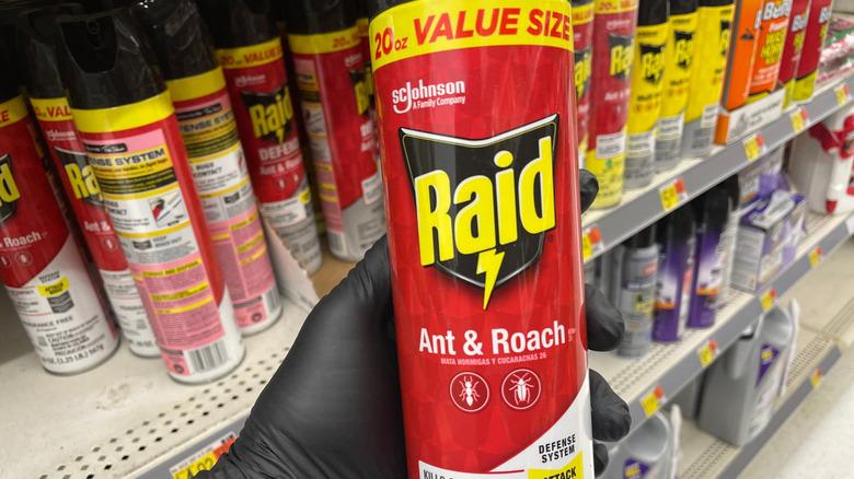 Bottle of Raid Ant & Roach formula in grocery aisle